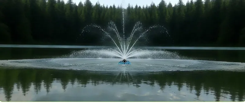 A fountain nozzle throwing a fan of thin jets on a forest lake